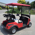 Zhongyi Mini 2 Seats Electric Tourist Golf Cart with for Resort